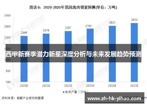 西甲新赛季潜力新星深度分析与未来发展趋势预测