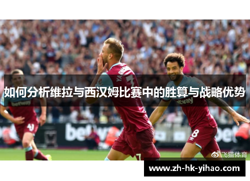 如何分析维拉与西汉姆比赛中的胜算与战略优势