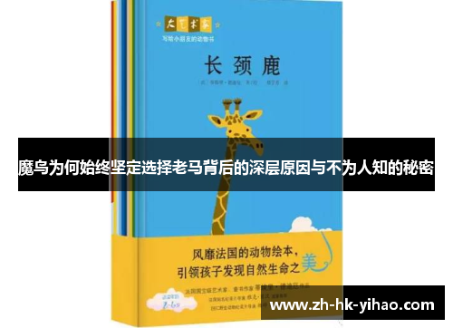 魔鸟为何始终坚定选择老马背后的深层原因与不为人知的秘密