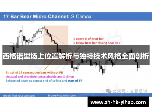 西格诺里场上位置解析与独特技术风格全面剖析
